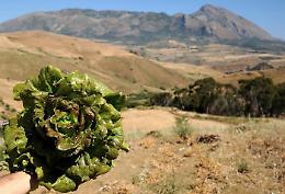 Un&rsquo;isola nell&rsquo;isola: alla scoperta dei borghi senza tempo dei Sicani con tre narratori d'eccezione