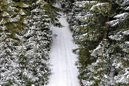 Etna e parcheggi sommersi dalla neve, Barbagallo attacca Trantino: &laquo;Figuraccia internazionale&raquo;