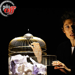 Capinera: gabbie, libert&agrave; e il riscatto delle donne