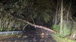 San Martino delle Scale isolata per la caduta di alberi, i residenti: &laquo;Situazione insostenibile, cosa succederebbe in una emergenza?&raquo;