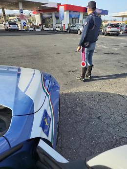 Dieci vitelli stipati dentro un furgone senza autorizzazioni: tre denunciati