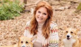 File Epstein, mail dell'ex duchessa Sarah Ferguson al faccendiere in carcere: chiude la sua charity