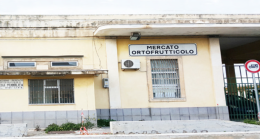 Siracusa, beccato dalle telecamere mentre abbandona rifiuti: scatta multa e sospensione patente