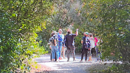 Palermo mitologica: la Favorita tra natura, storia e arte