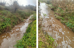 Ragusa, l'acqua torbida del Tellesimo preoccupa Legambiente