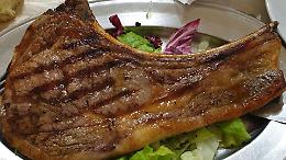 Cavalli come animali d&rsquo;affezione: l&rsquo;Italia pensa al divieto di macellazione