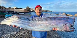 La creatura che si "difende" come un mollusco: perch&eacute; il ritrovamento del pesce liocorno a Milazzo &egrave; un evento eccezionale 