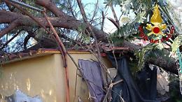 Catania, il vento abbatte alberi e cartelloni: oltre 250 interventi. Barbagallo: &laquo;Regioni dichiari nuovo stato di calamit&agrave;&raquo;