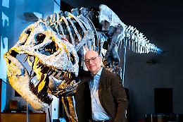 Comiso, dinosauri al museo: prorogata la mostra di successo