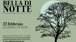 Bella di notte: l&rsquo;Orto Botanico di Catania tra sentieri, profumi e colori