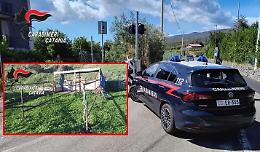 Smarrisce un cavallo affidatogli  dall&rsquo;Asp di Catania: denunciato un 68enne 