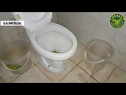 A Patern&ograve; il kebab da incubo 