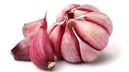 Il maltempo minaccia l&rsquo;aglio rosso di Nubia: produzione a rischio per il 2027