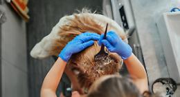 A Gela la parrucchiera-usuraia: in casa soldi contanti e libro mastro, arrestata 