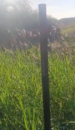 SP212 a Vaccarizzo nel degrado: buche, rifiuti e fermate AMTS senza segnaletica