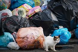 Rubano la telecamera della videosorveglianza per tornare a sporcare: via Alessio di Giovanni diventa una discarica