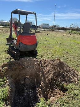 Ragusa prova a parlare una lingua pi&ugrave; verde, iniziata la piantumazione di nuovi alberi