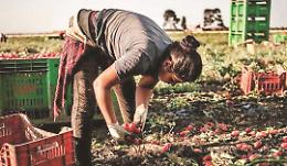 Ragusa, i racconti delle nuove schiave romene. Sono le donne della fascia trasformata