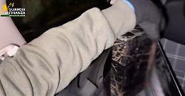 Bloccati agli imbarcaderi prima di portare quattro chili di cocaina in Sicilia: la droga avrebbe fruttato 650mila euro