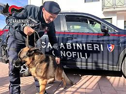 Coltello e dosi fra i banchi di scuola: bloccati  due minorenni a Patern&ograve;