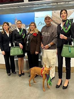 In viaggio con... pap&agrave;: battesimo del volo per due cani di grossa taglia al Falcone Borsellino