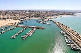 Operazione dei carabinieri a Scoglitti, sequestrati 1500 uccelli protetti