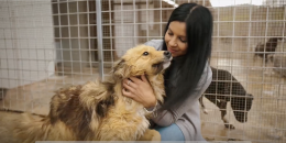 Randagismo, da Ragusa Ard discount presenta la campagna "Oltre le sbarre"