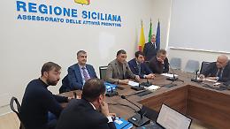 Mercato ortofrutticolo di Palermo, Tamajo annuncia una cabina di regia e un sopralluogo in settimana: &laquo;Accelerazione concreta&raquo;