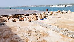 Porto di Portopalo, via libera della Regione: 1,8 milioni per la somma urgenza