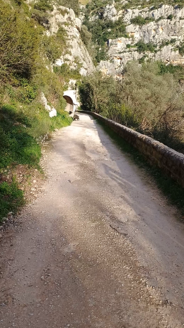 Escursioni con... i cinghiali nella Riserva naturale di Pantalica
