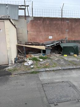 Inseguimenti e aggressioni, alla zona industriale di Catania &egrave; allarme randagismo: &laquo;Ma dare loro da mangiare &egrave; un errore&raquo;