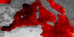 Copernicus, febbraio 2026 &egrave; il quinto pi&ugrave; caldo di sempre