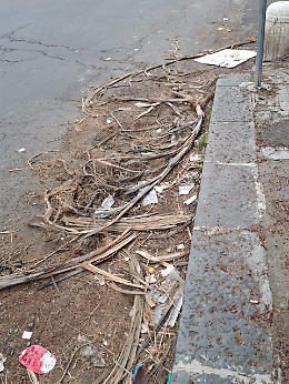 Il marciapiede dimenticato di Via Scammacca: tra ortiche, sterpaglie e sporcizia