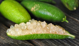 Finger lime,  il limone che sembra caviale