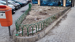 Aiuola tra via Giacomo Leopardi e via Principe Nicola rasa al suolo: siepi, oleandri e una giovane jacaranda tranciati