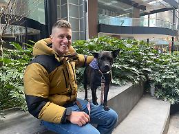 ChatGPT al servizio di Rosie: il vaccino anticancro su misura per il cane nato con l'Intelligenza Artificiale