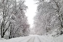 L'inverno stenta ad andar via: perturbazione in arrivo dal nord-est con piogge intense e neve in alta collina