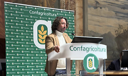 Il monterossano Paolo Scollo nominato presidente della federazione nazionale di prodotto frutticoltura di Anga