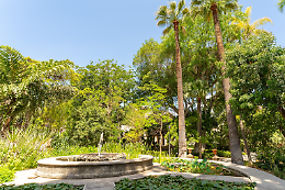 All'Orto Botanico di Catania: la primavera tra foreste, api e visite serali