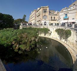 Siracusa, a rischio la sopravvivenza degli antichi papiri della Fonte Aretusa
