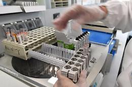 Epatite A in aumento in Campania: frutti di mare crudi sotto accusa per 133 casi e oltre 50 ricoveri