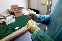 Troppi casi di epatite A in Campania: a Napoli scatta il divieto di consumare frutti di mare 