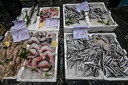 Epatite A a Napoli, tre nuovi casi al Cotugno: ricoverati 53 pazienti