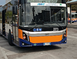 Ai seggi 123 autisti: caos Amat fino a gioved&igrave;