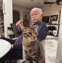 Gino Paoli e i gatti: compagni di vita, alter ego e manifesto di libert&agrave;