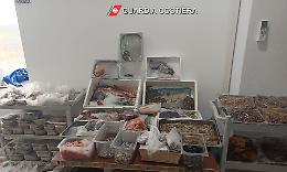 Misterbianco: pesce e carne "marci" per banchetti privati, clienti ignari e men&ugrave; ingannevoli 