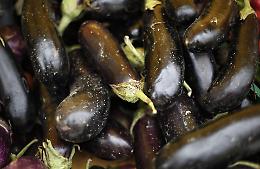 Melanzane a 3,20 euro al chilo, pomodoro datterino a 4: perch&eacute; i prezzi dell'ortofrutta (siciliana) sono esplosi