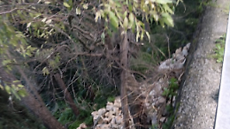 Modica, cede un muraglione a San Giuliano: pesanti disagi alla viabilit&agrave; 