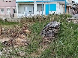 Donnalucata, protestano i residenti: "Altro che spiagge pulite, qui &egrave; un disastro"