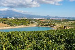 L'agricoltura in Sicilia che si sostiene grazie ai "laghetti aziendali". &laquo;Opere fondamentali, fin dagli anni '90&raquo;